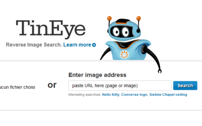 TinEye : Un moteur de recherche d'images inversé